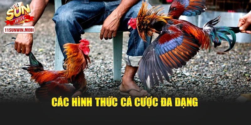 Các hình thức cá cược đa dạng