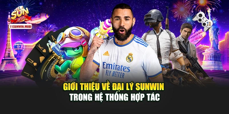 Giới thiệu về đại lý Sunwin trong hệ thống hợp tác
