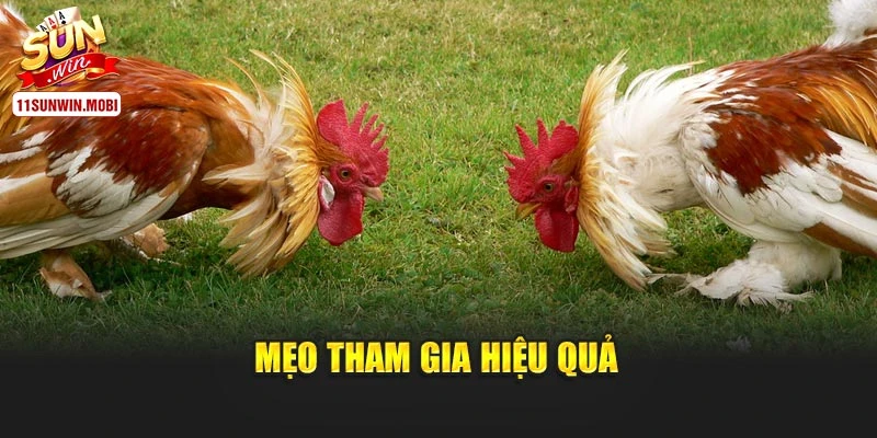 Mẹo tham gia hiệu quả