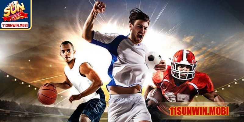 Lựa chọn môn phù hợp nâng cao trải nghiệm mô phỏng số